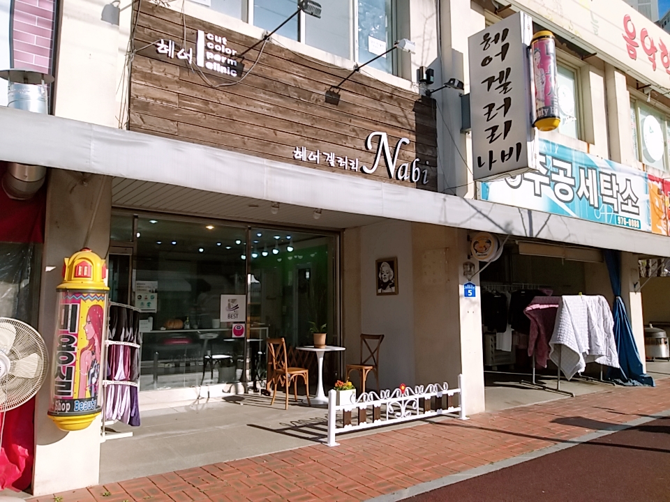 헤어겔러리나비