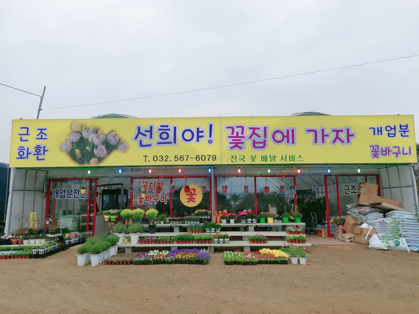 선희야꽃집에가자