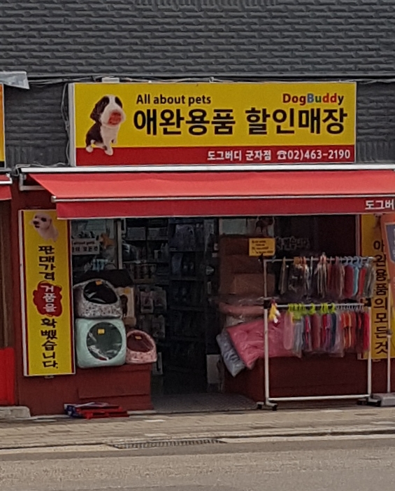 이미지