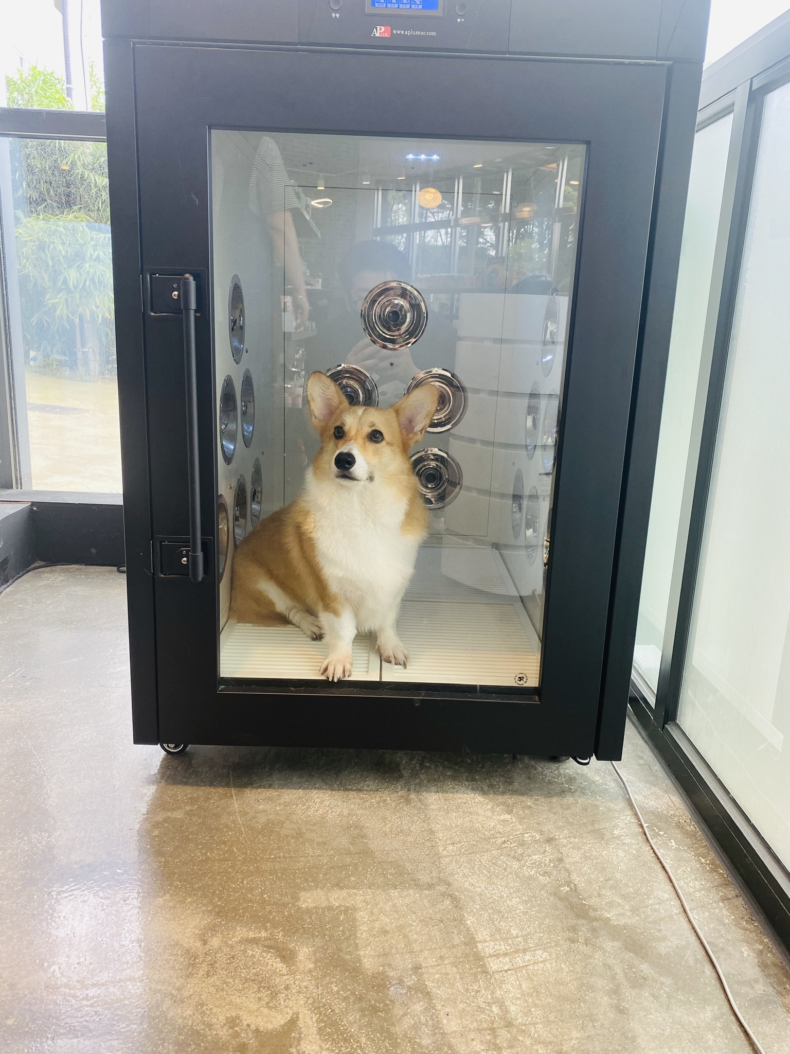 이미지