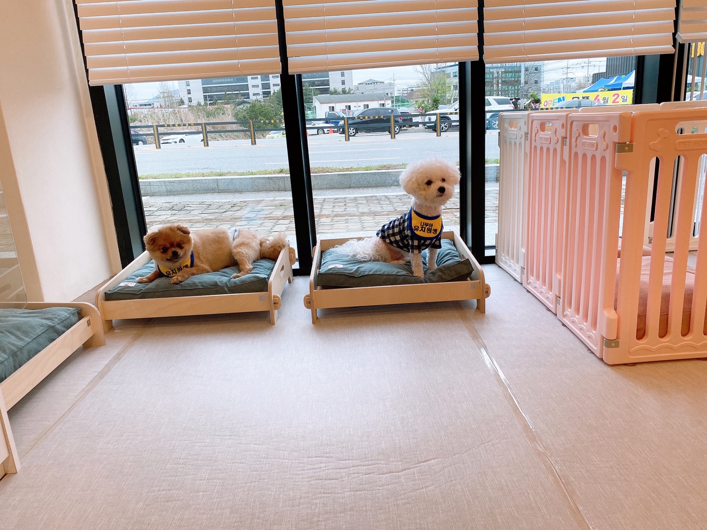 애견호텔 나무야 충주 대표 이미지