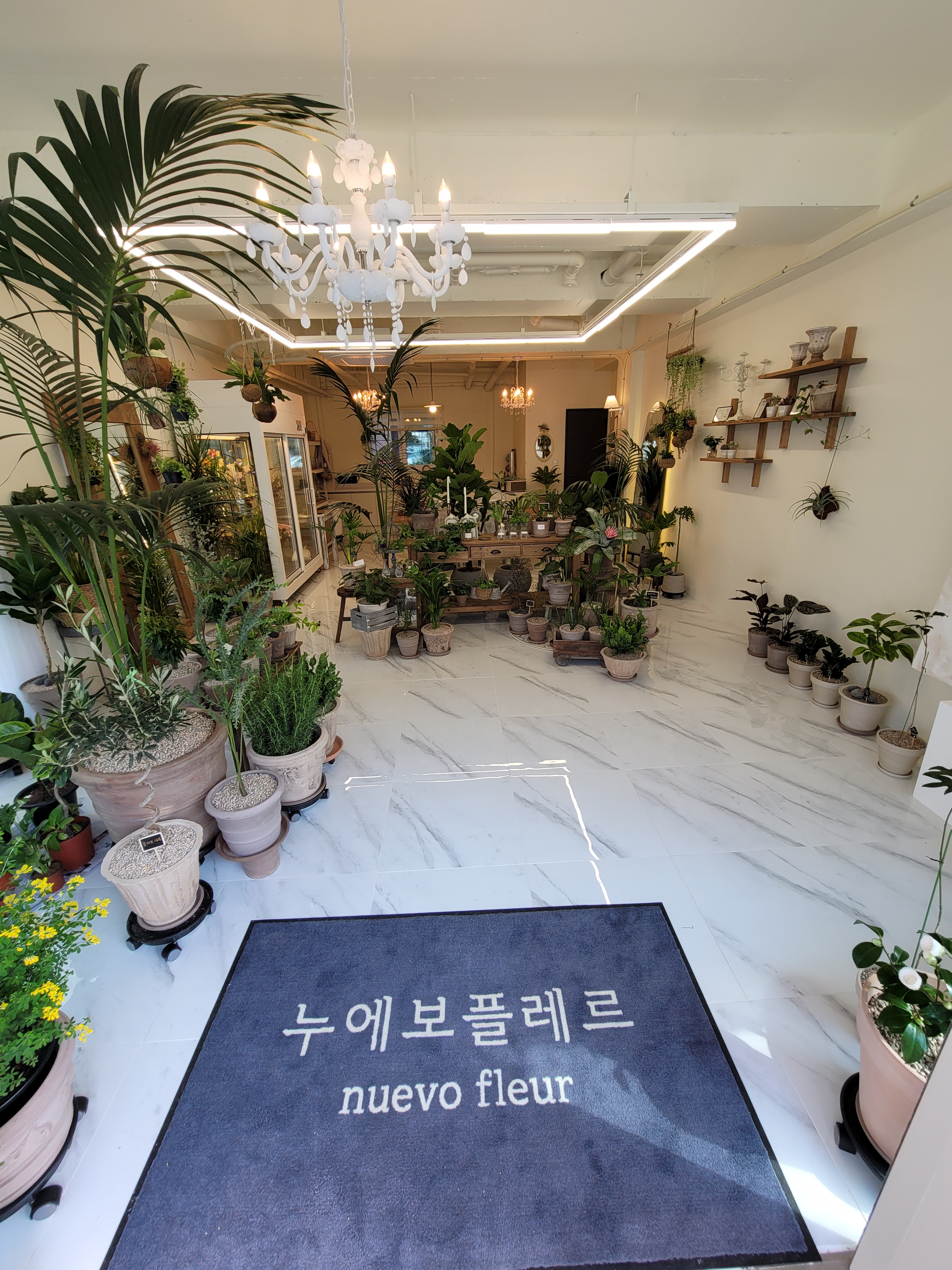 누에보플레르