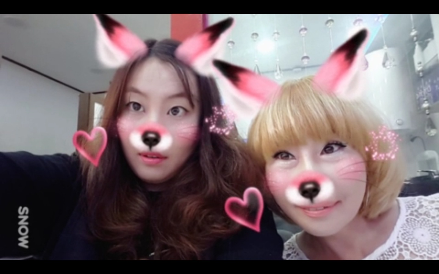 머리하는날