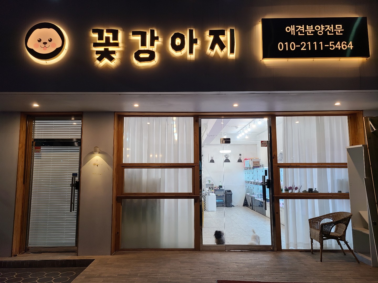 꽃강아지 하남본점
