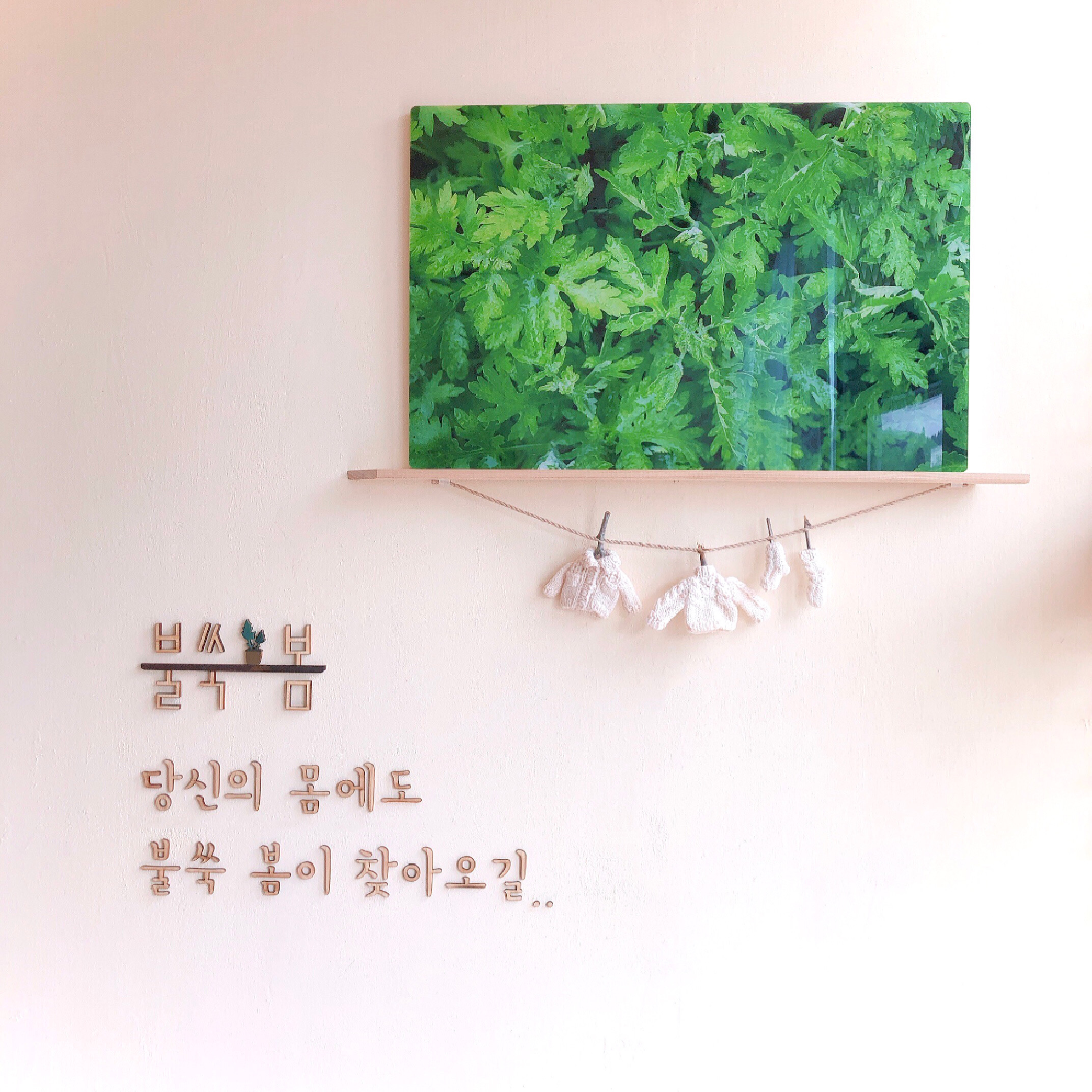 불쑥 봄