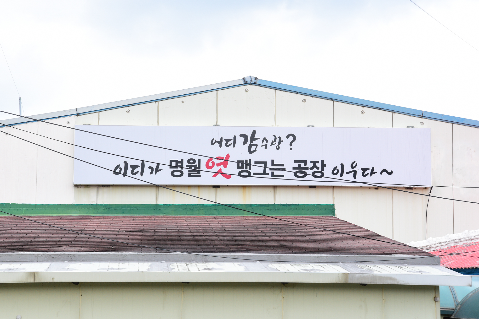 제주참마당
