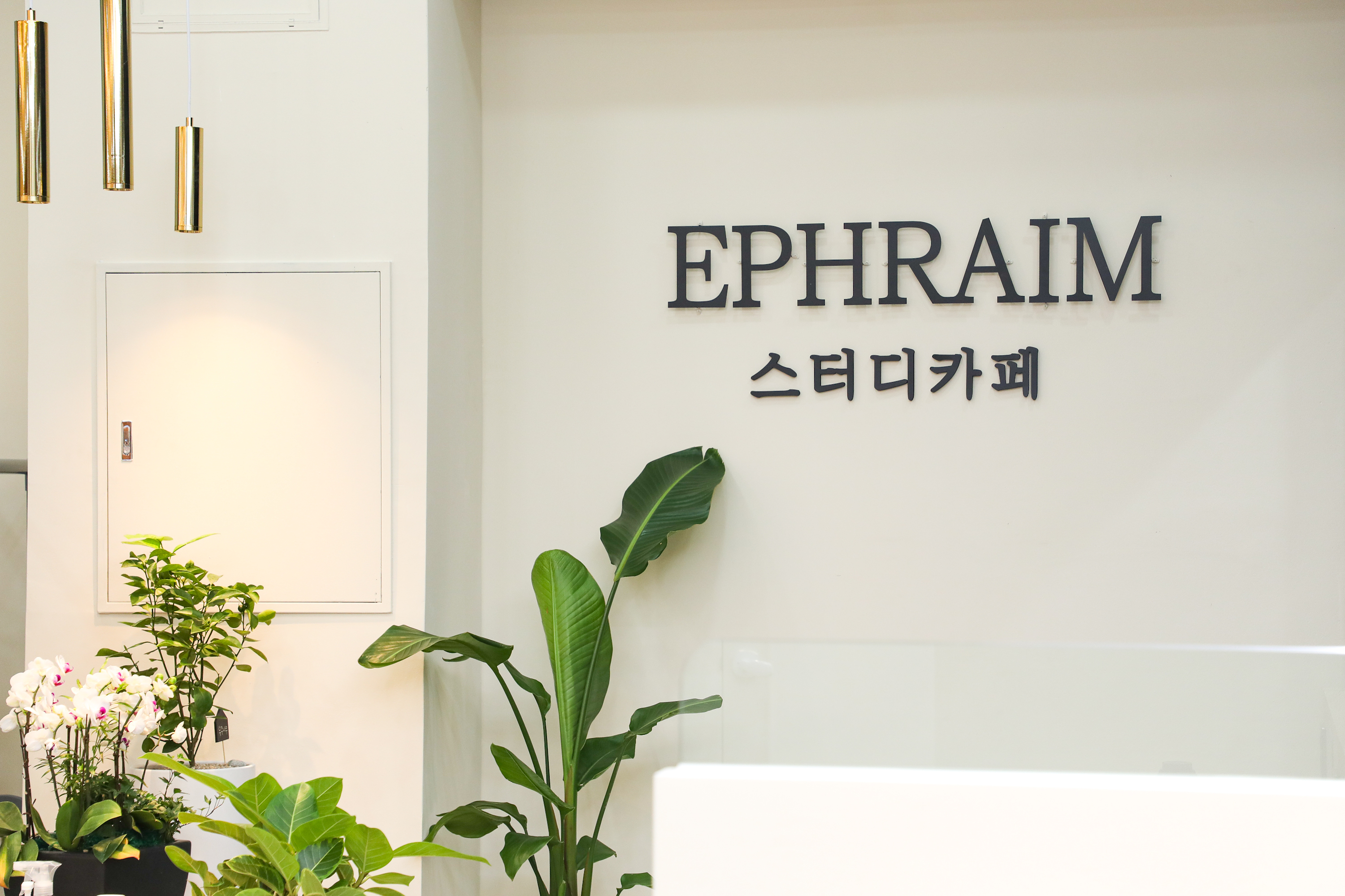 업체사진