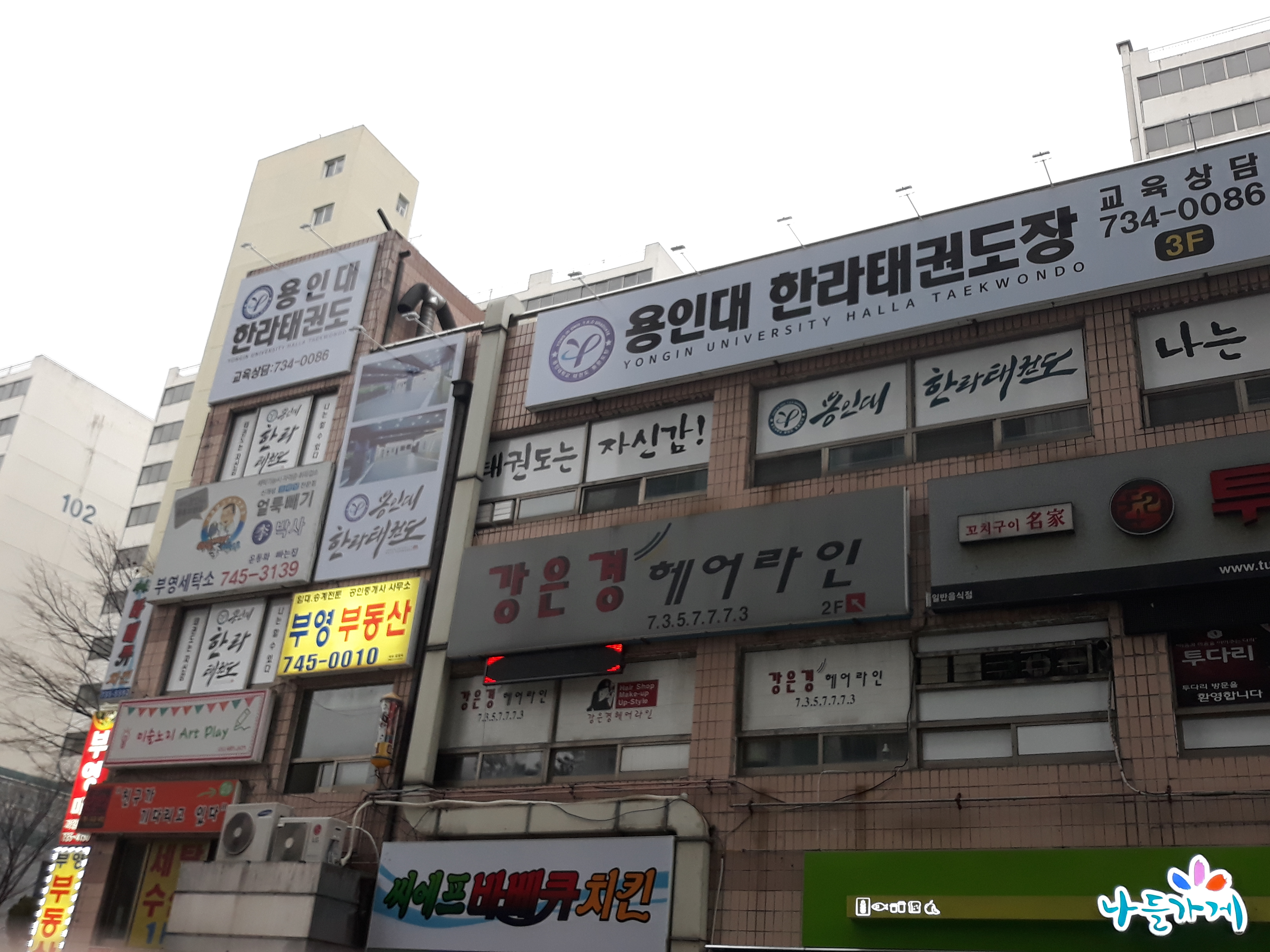 용인대한라태권도장