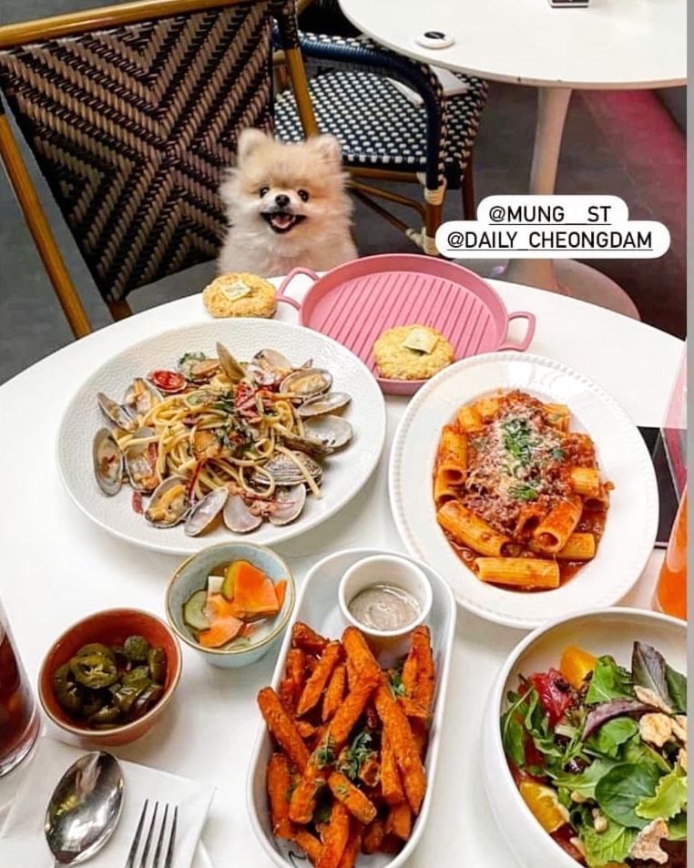 멍,이양 애견유치원 3