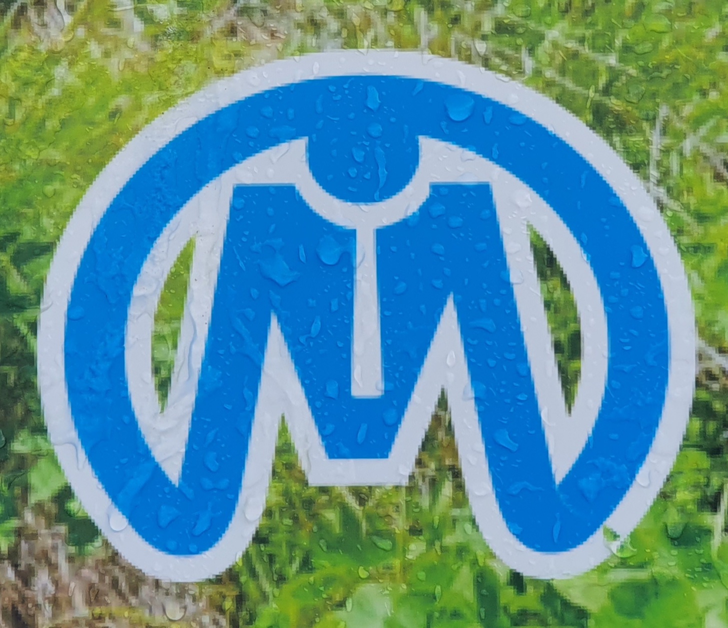 모드니여행사