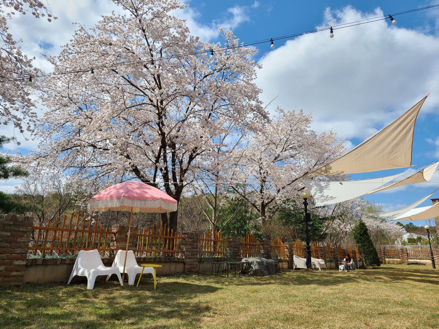 포시즌 대표 이미지