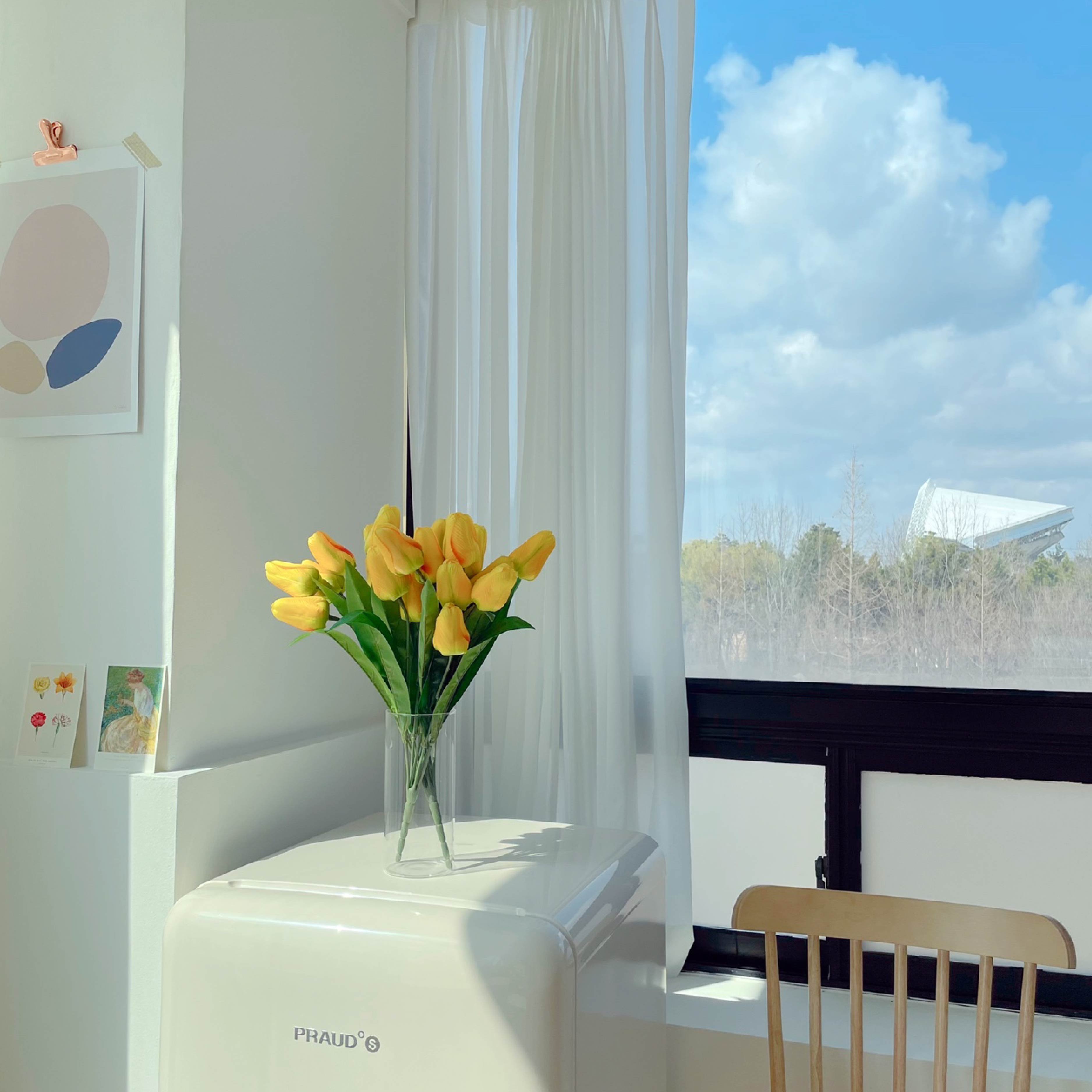오모 스튜디오 파티룸 안산