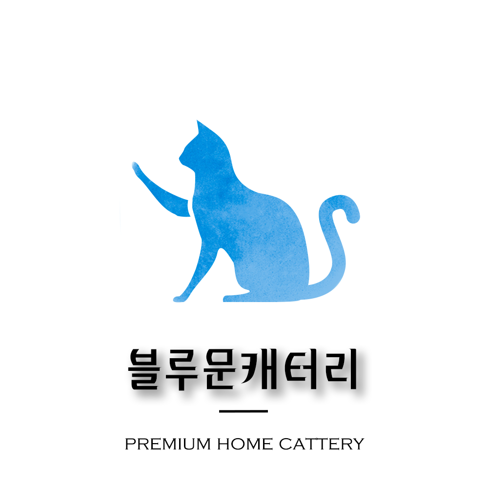 블루문 캐터리