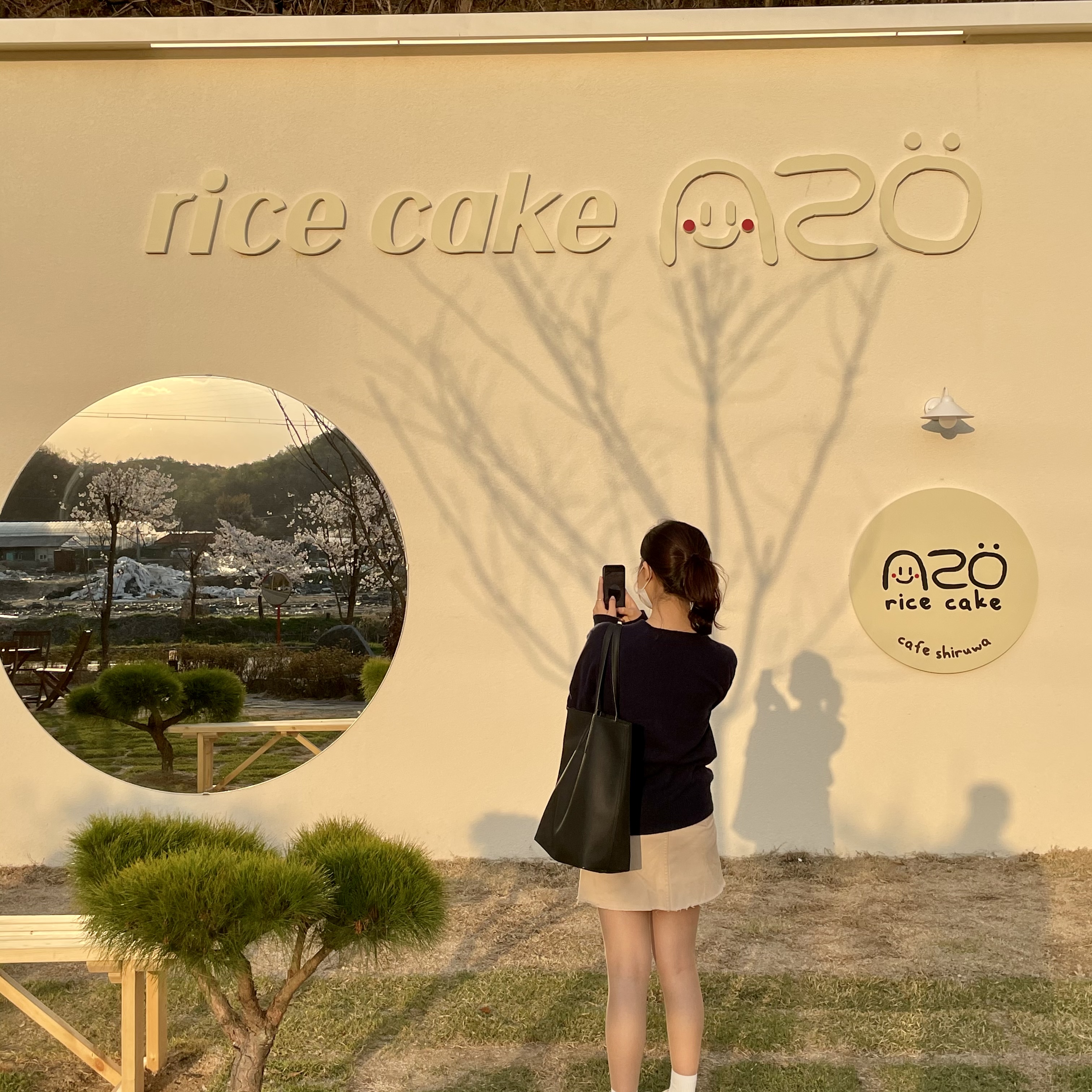 쉬러와 쌀케이크