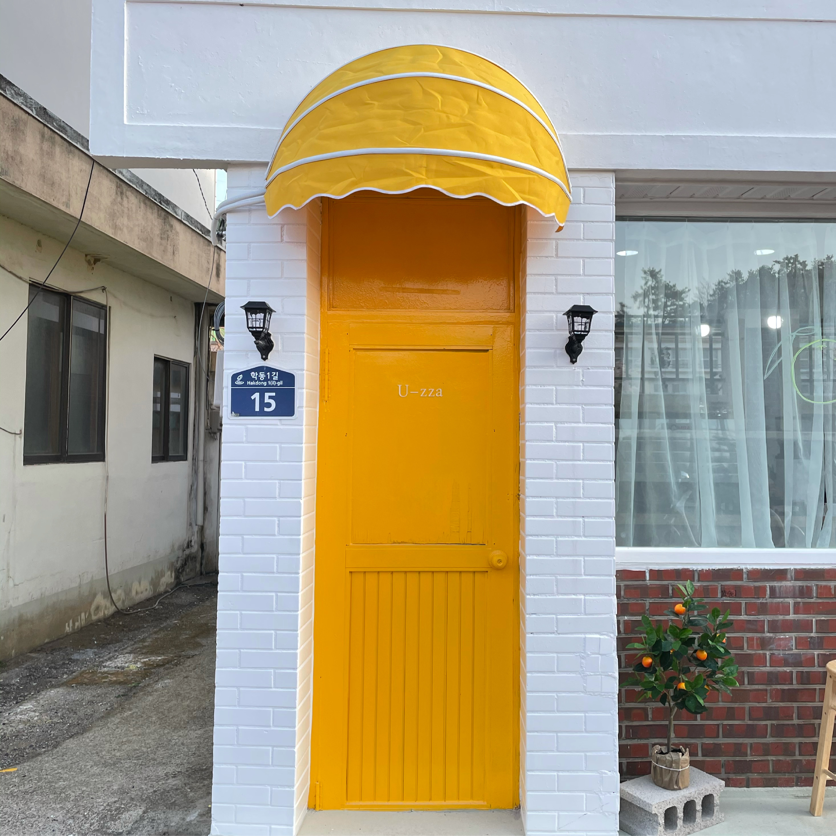 유쟈 반려동물 동반 애견카페