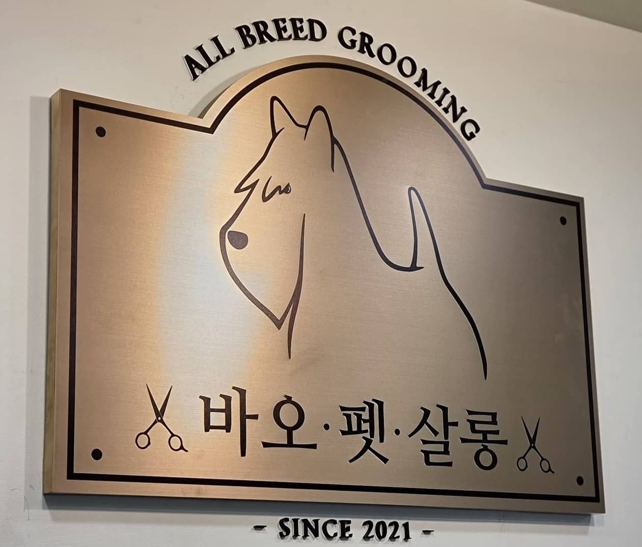 바오펫살롱 대표 이미지