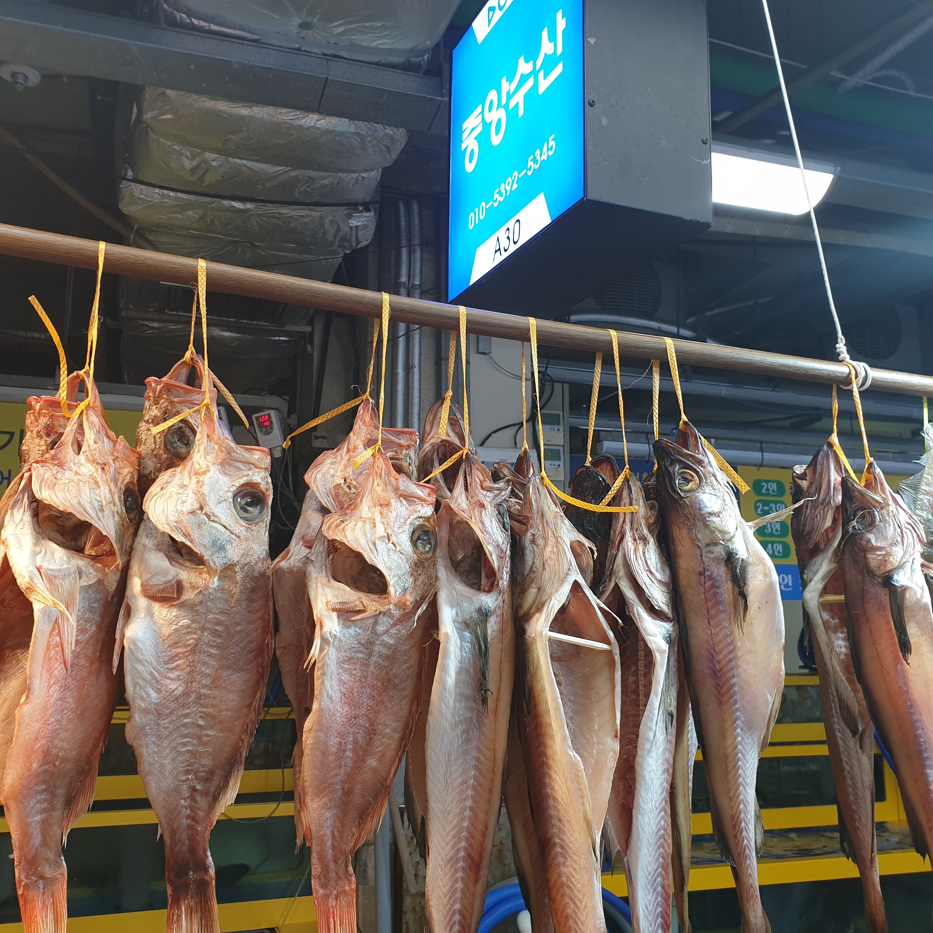 중앙수산