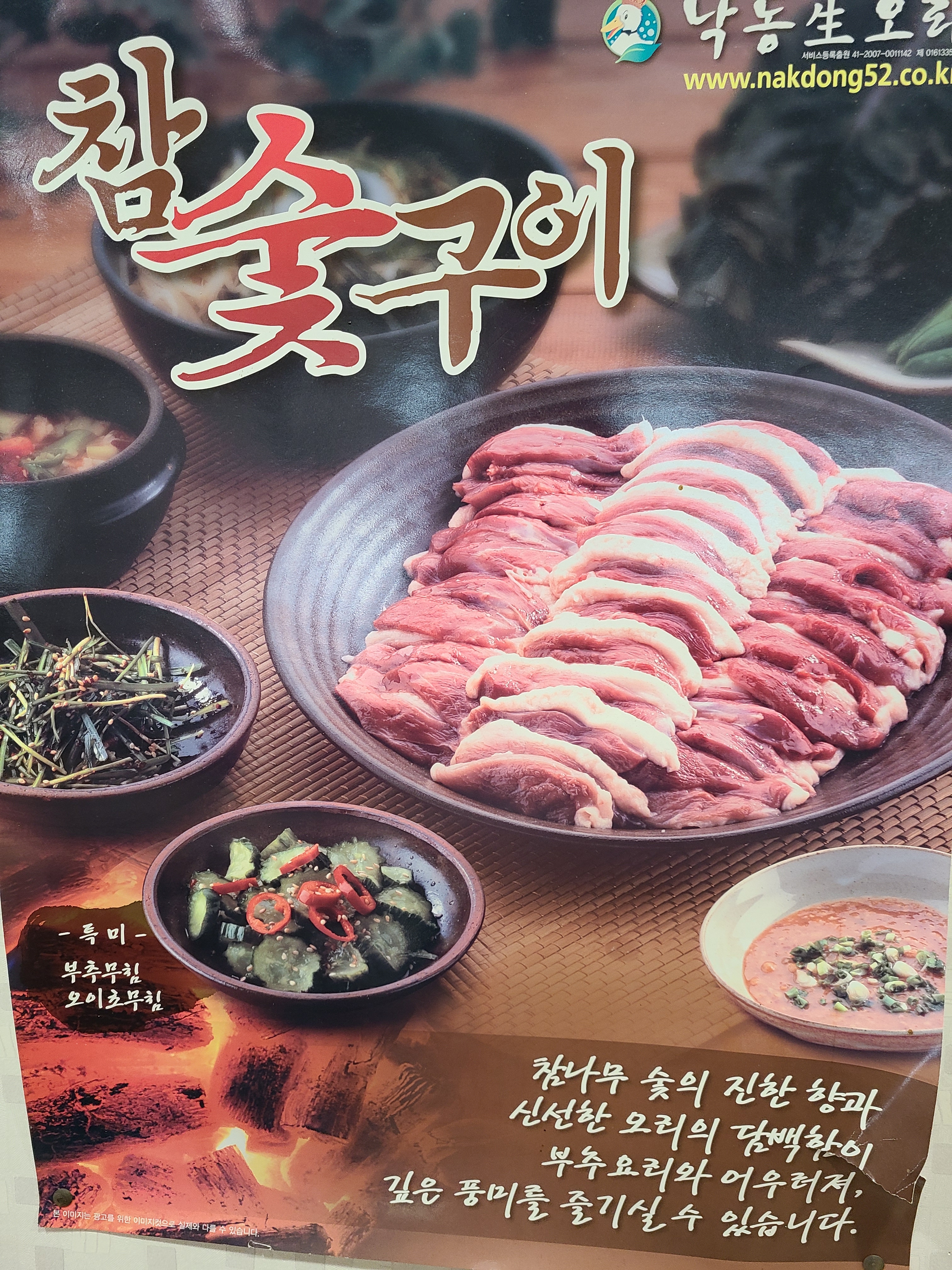낙동생오리