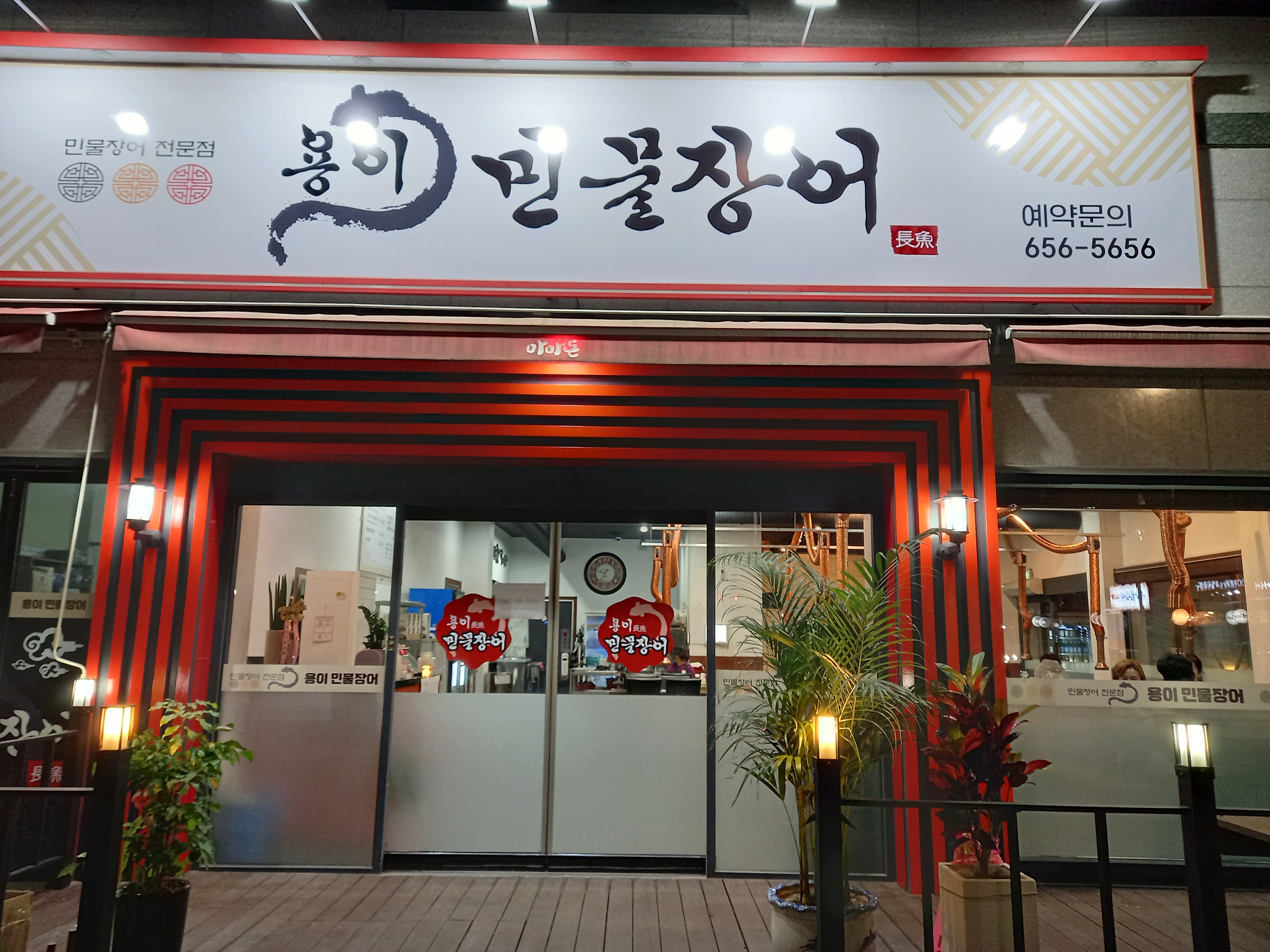 용이민물장어