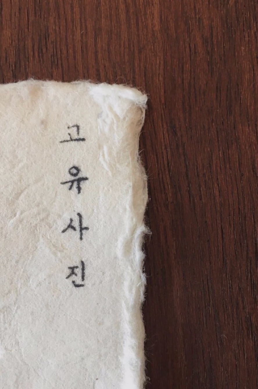 고유사진 대표 이미지