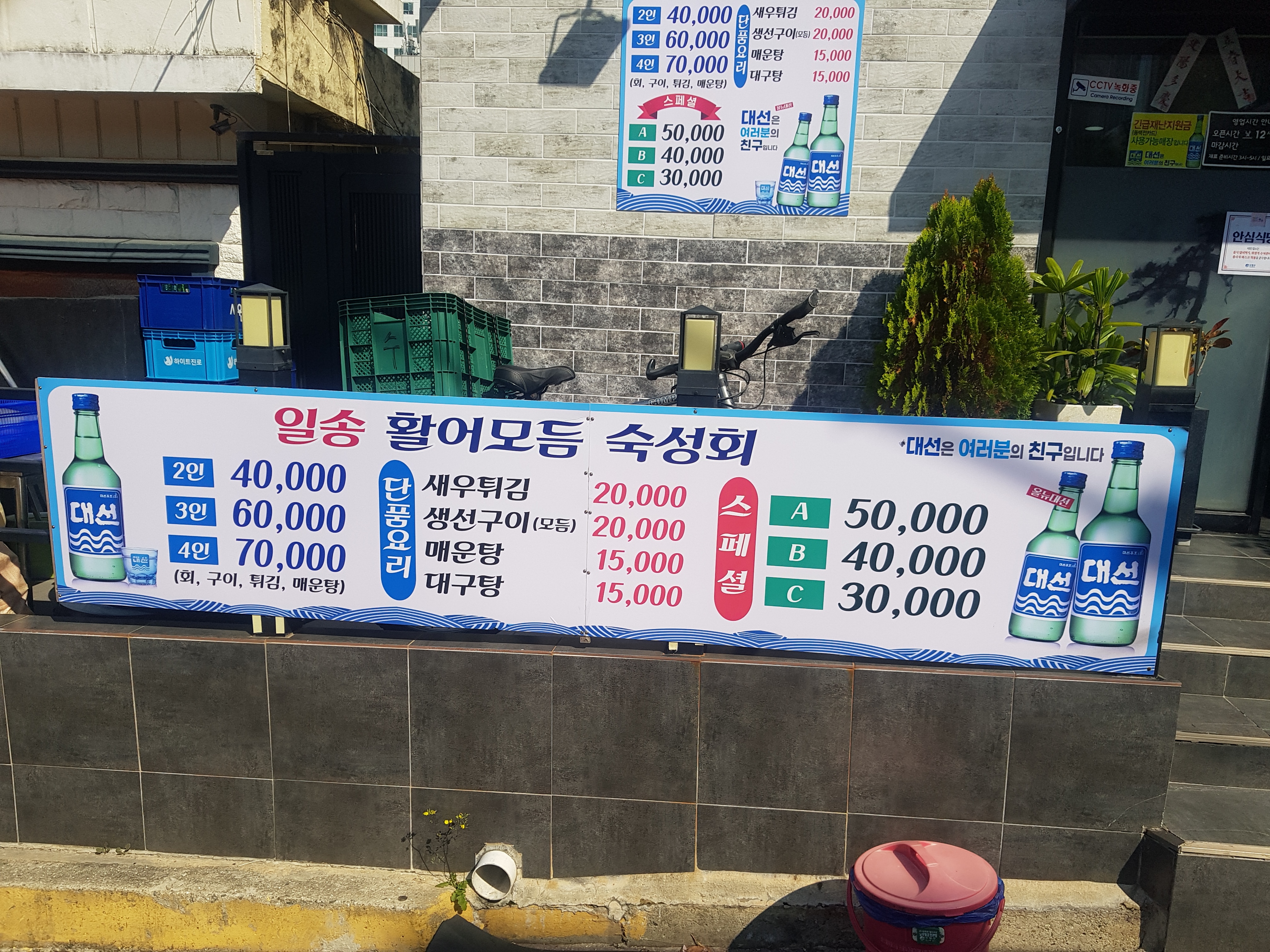 일송