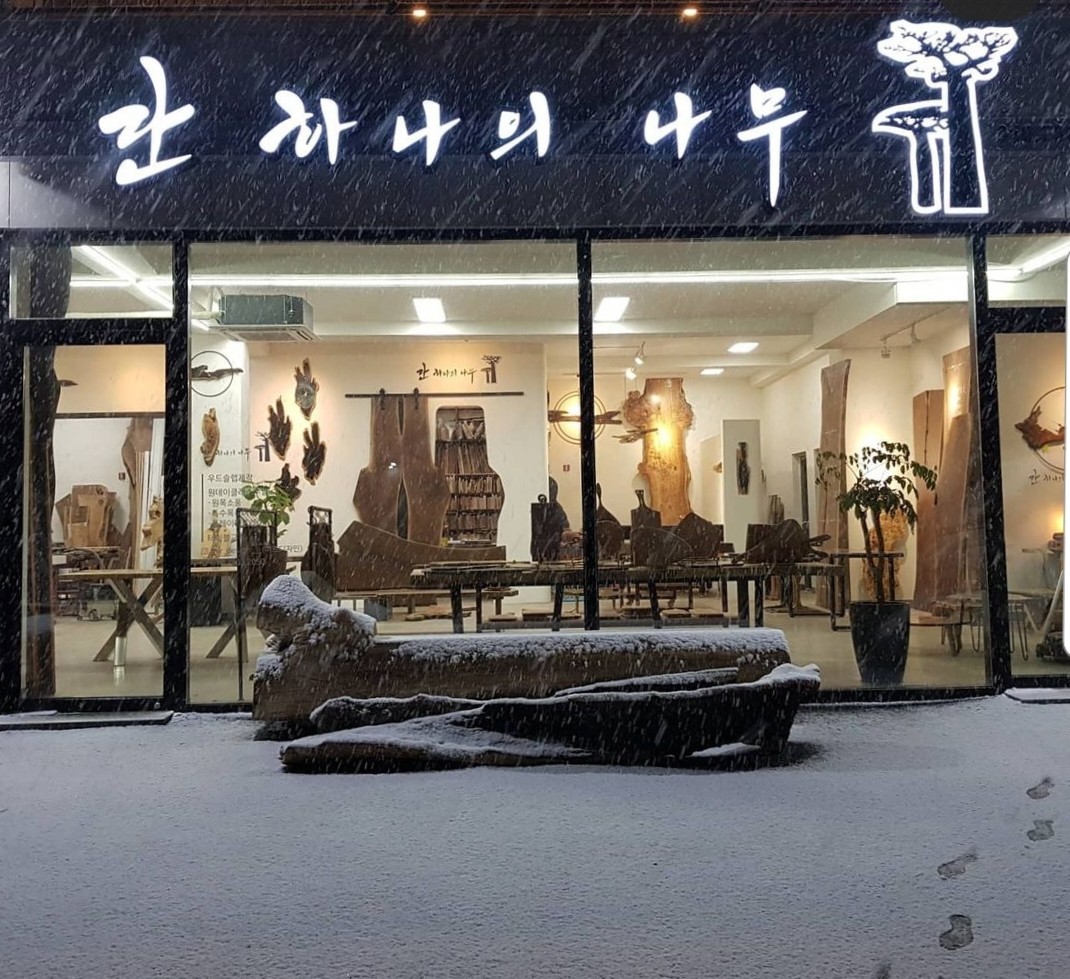 단하나의나무