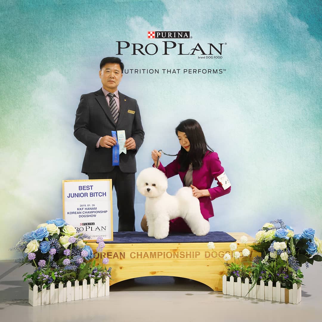 개성있냥 대표 이미지