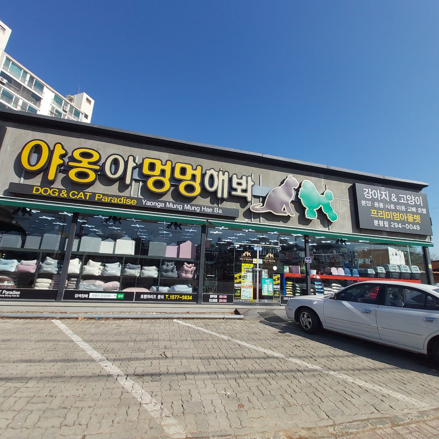 야옹아멍멍해봐펫 강아지고양이 청주분평점