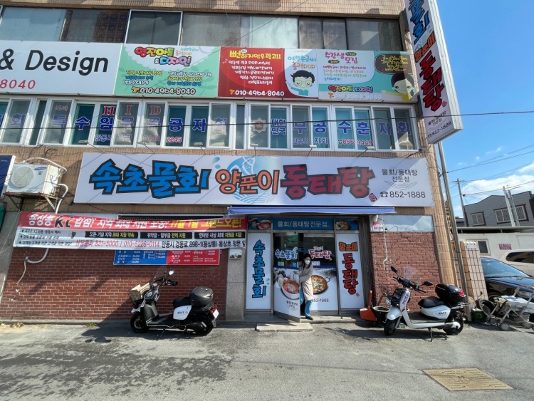 속초물회양푼이동태탕 설명사진