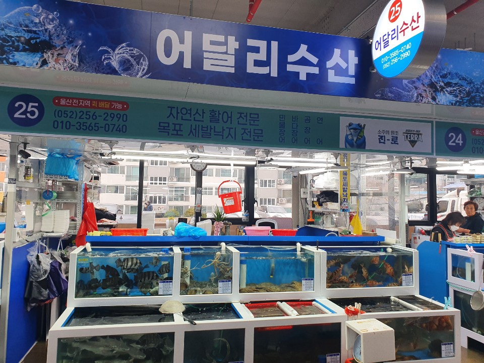 어달리수산 수암회수산시장
