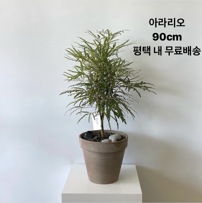 꽃바람화원