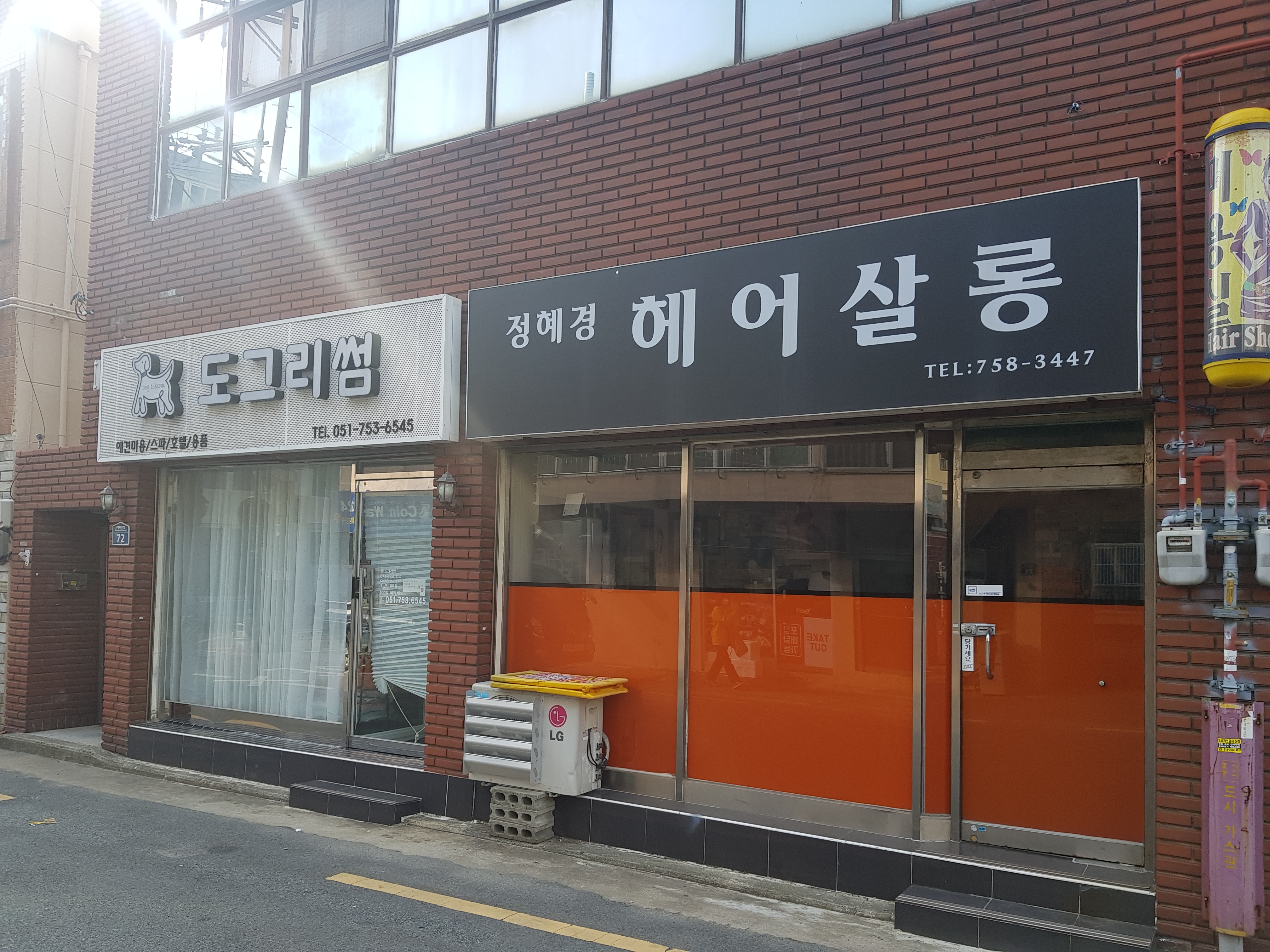 도그리썸애견미용실 대표 이미지