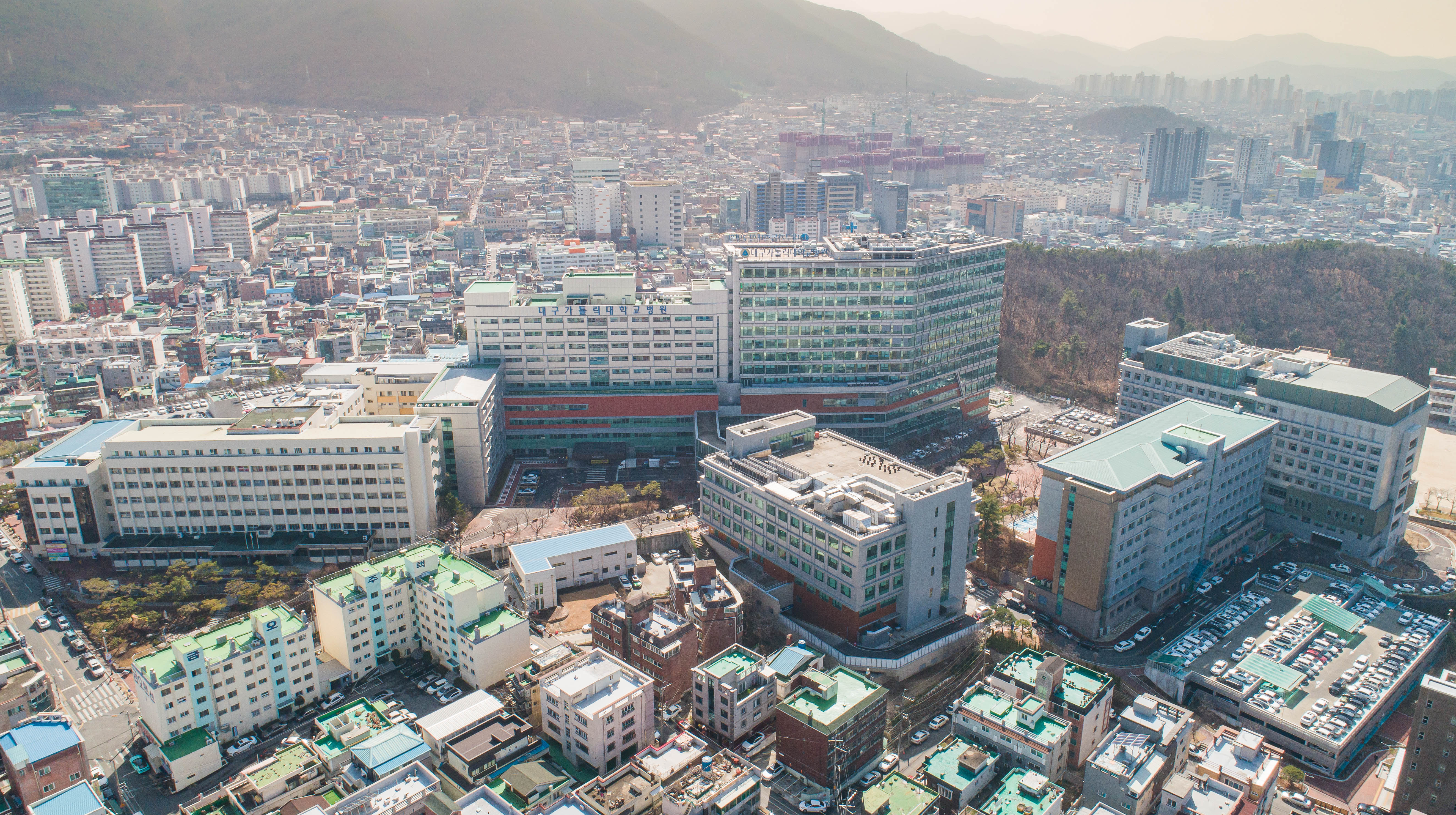 대구가톨릭대학교병원