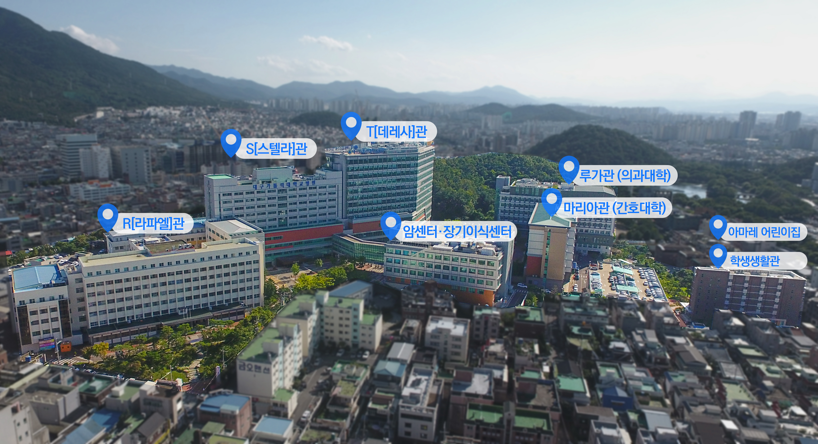 대구가톨릭대학교병원 대표 이미지