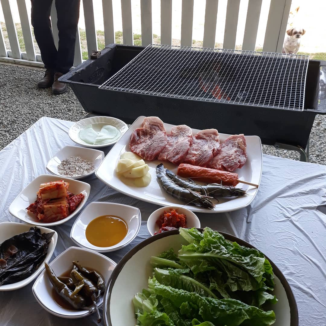놀개 애견운동장