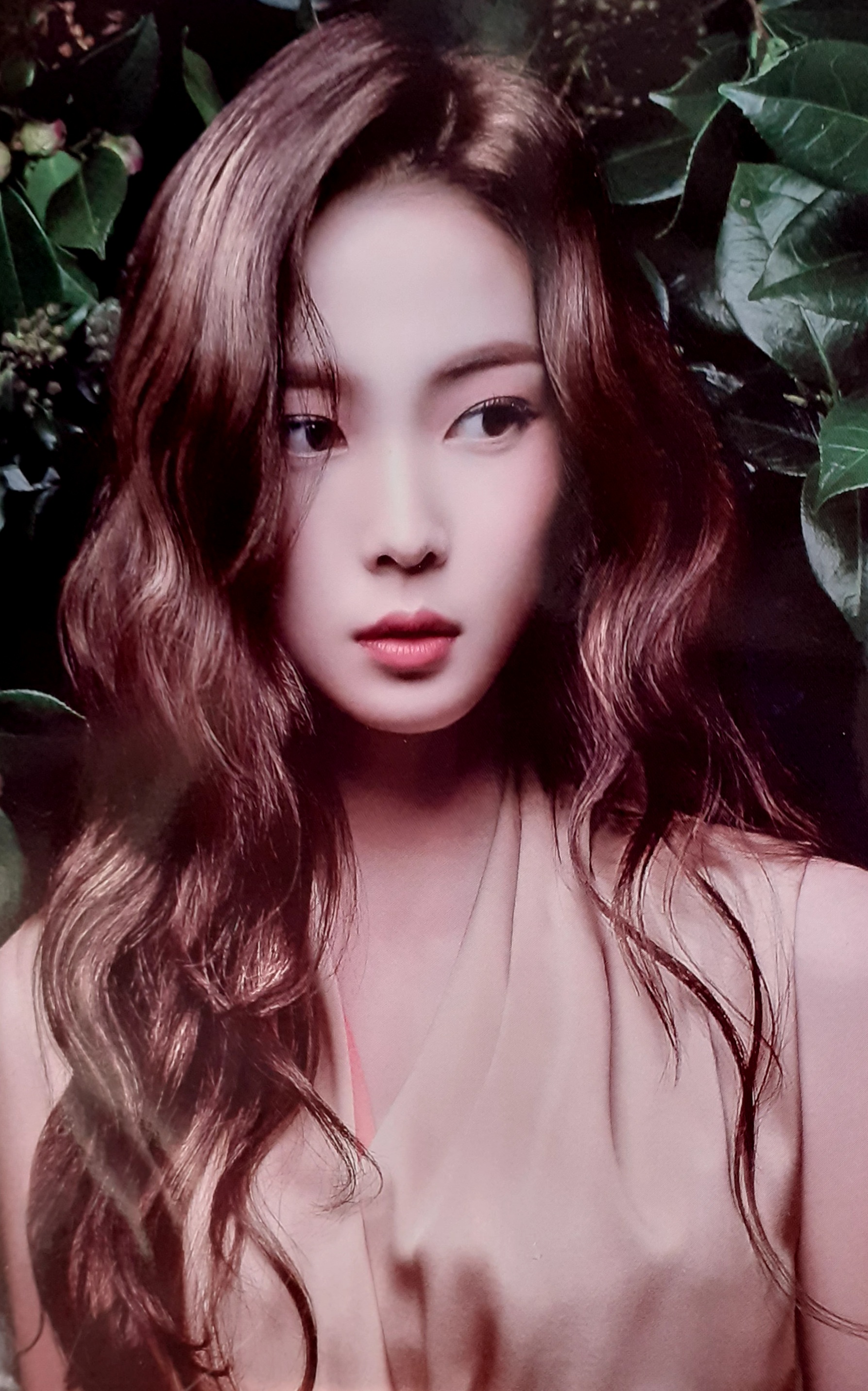 보보헤어샵