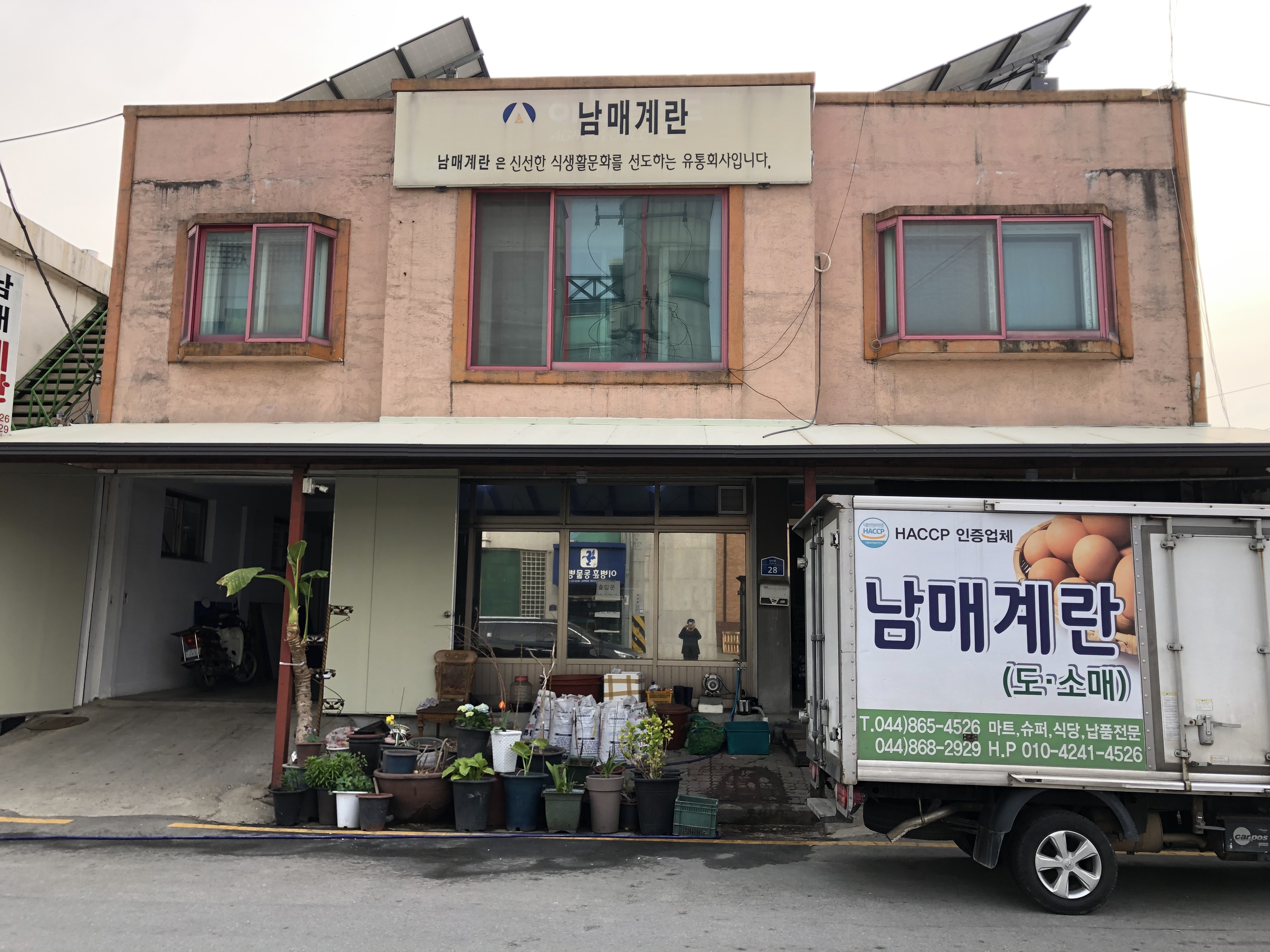 남매계란