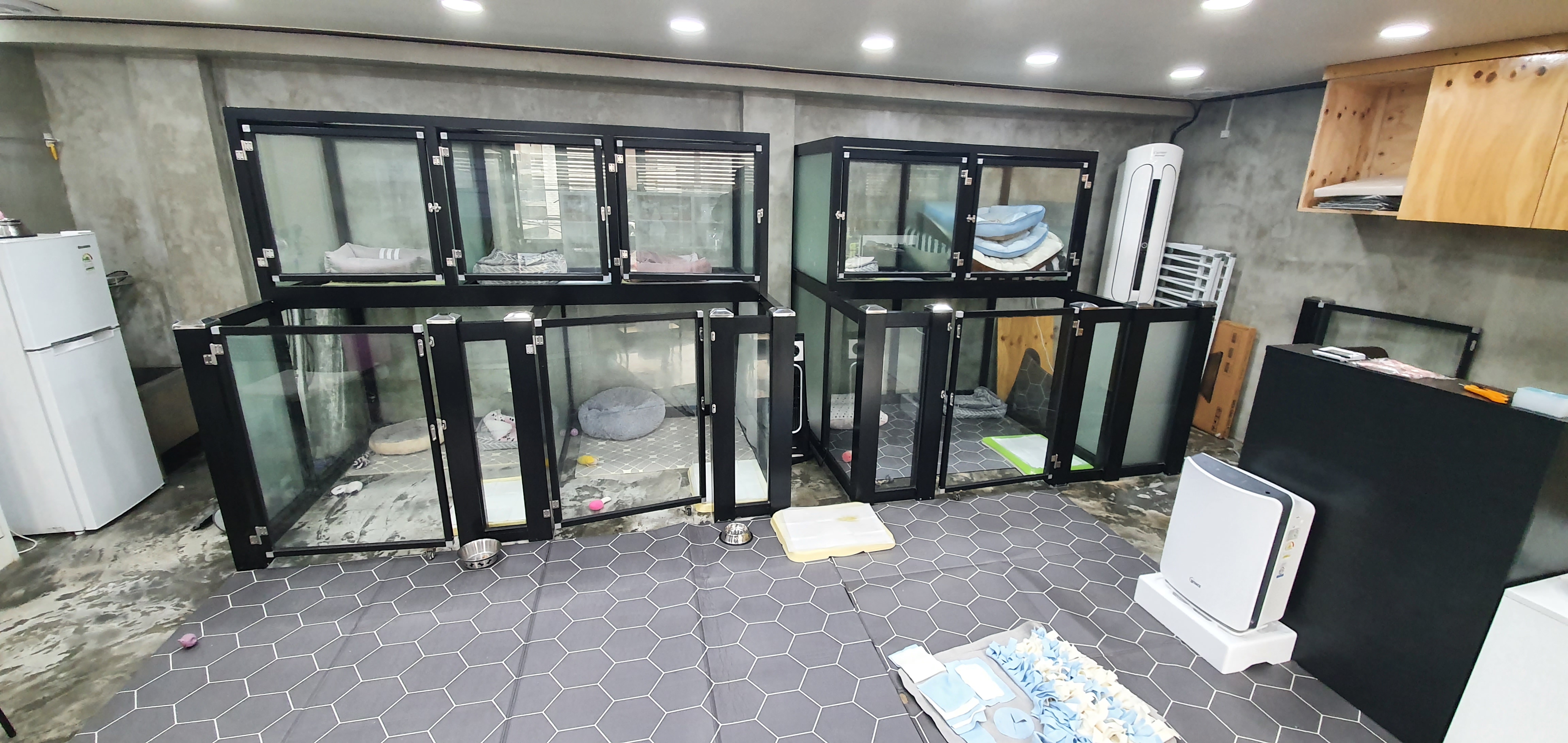 쁘띠펫 대표 이미지