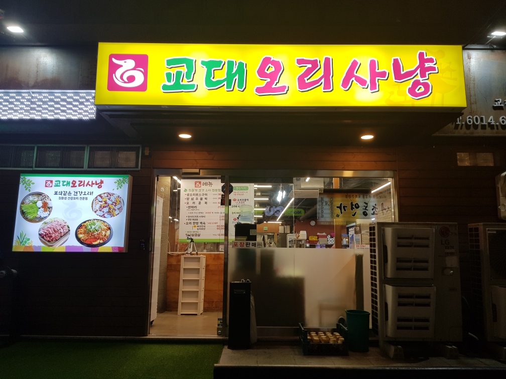교대 오리사냥