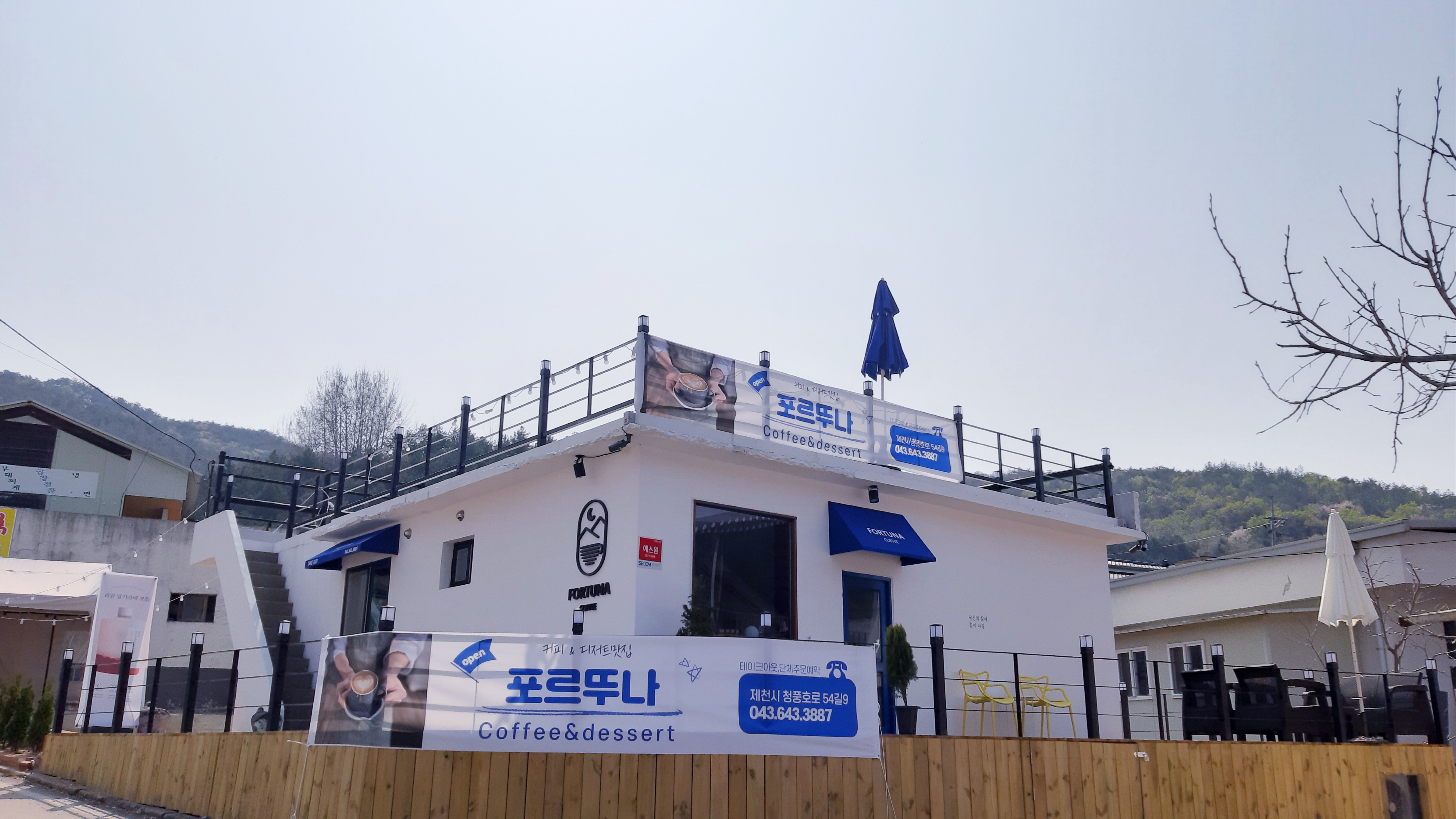 포르뚜나