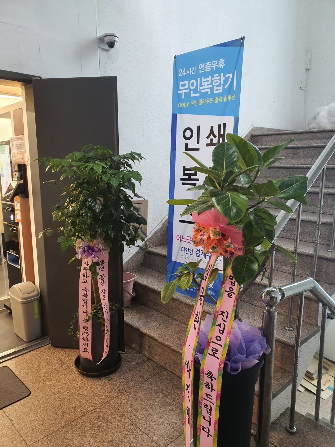 업체사진