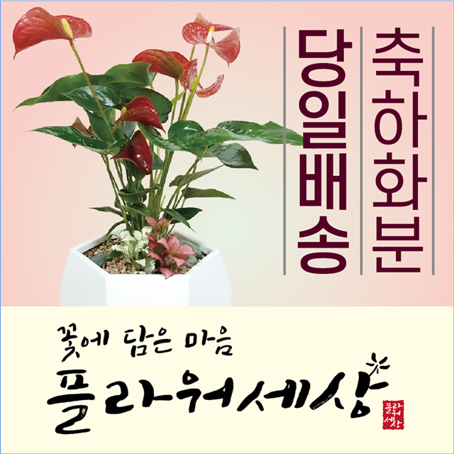 플라워세상