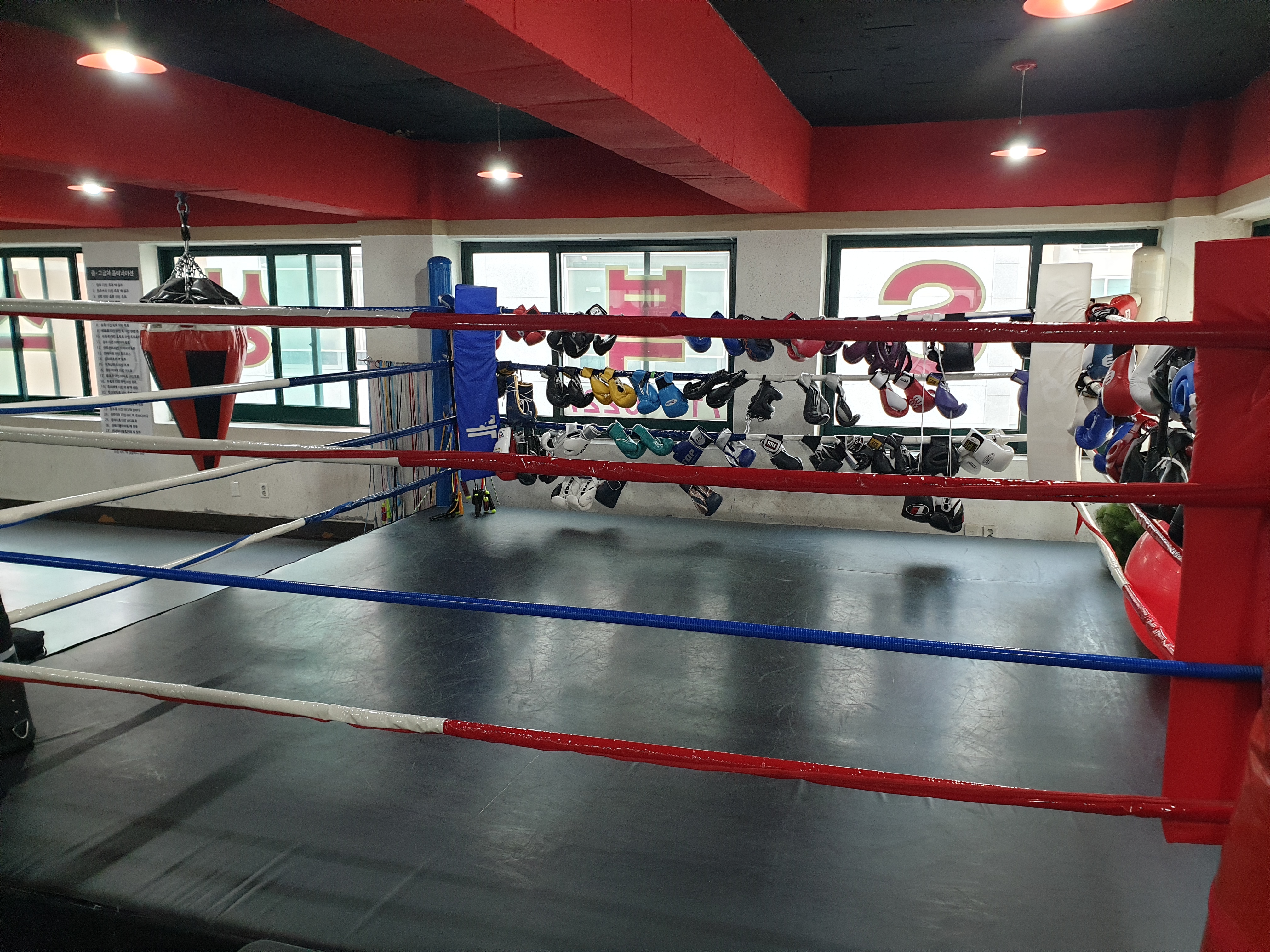 에스복싱스쿨 대표 이미지