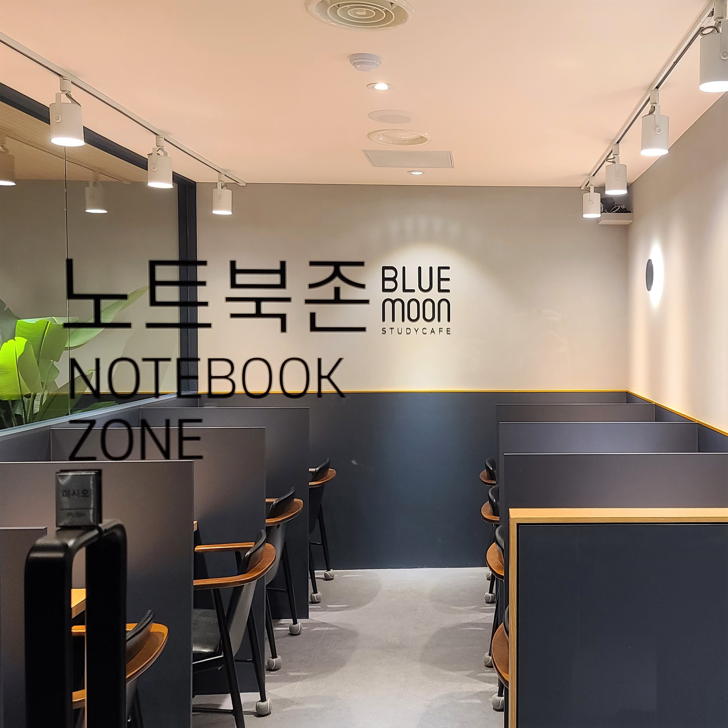 업체사진