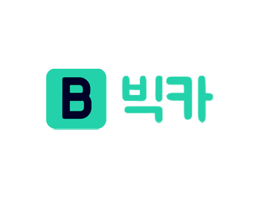 빅카