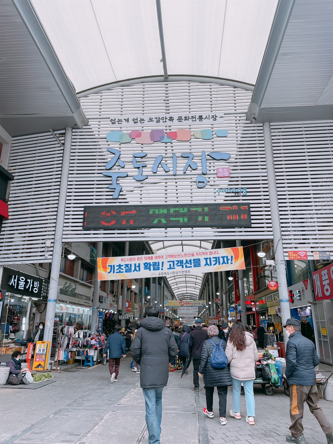정우네콩잎