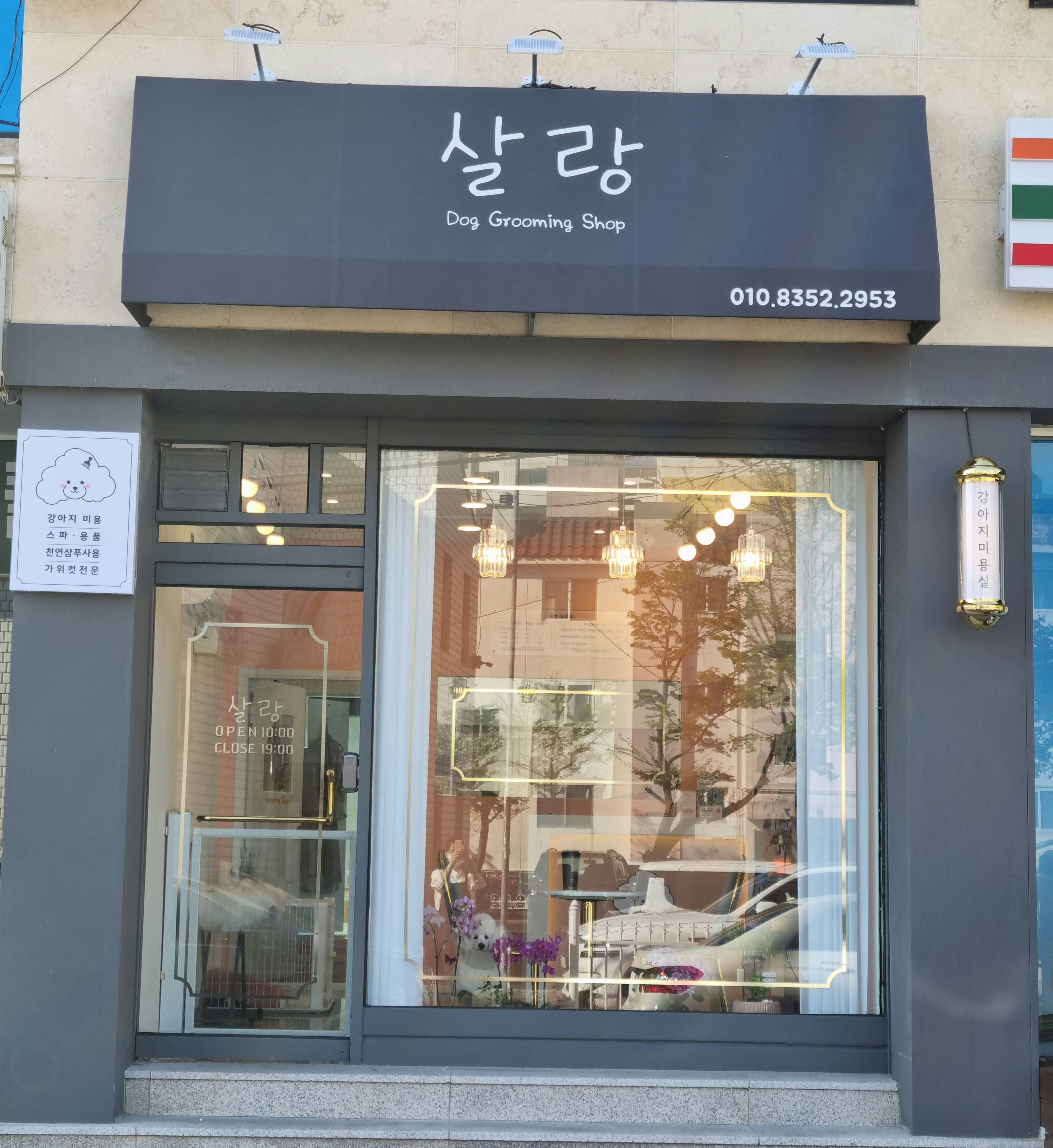 살랑 대표 이미지