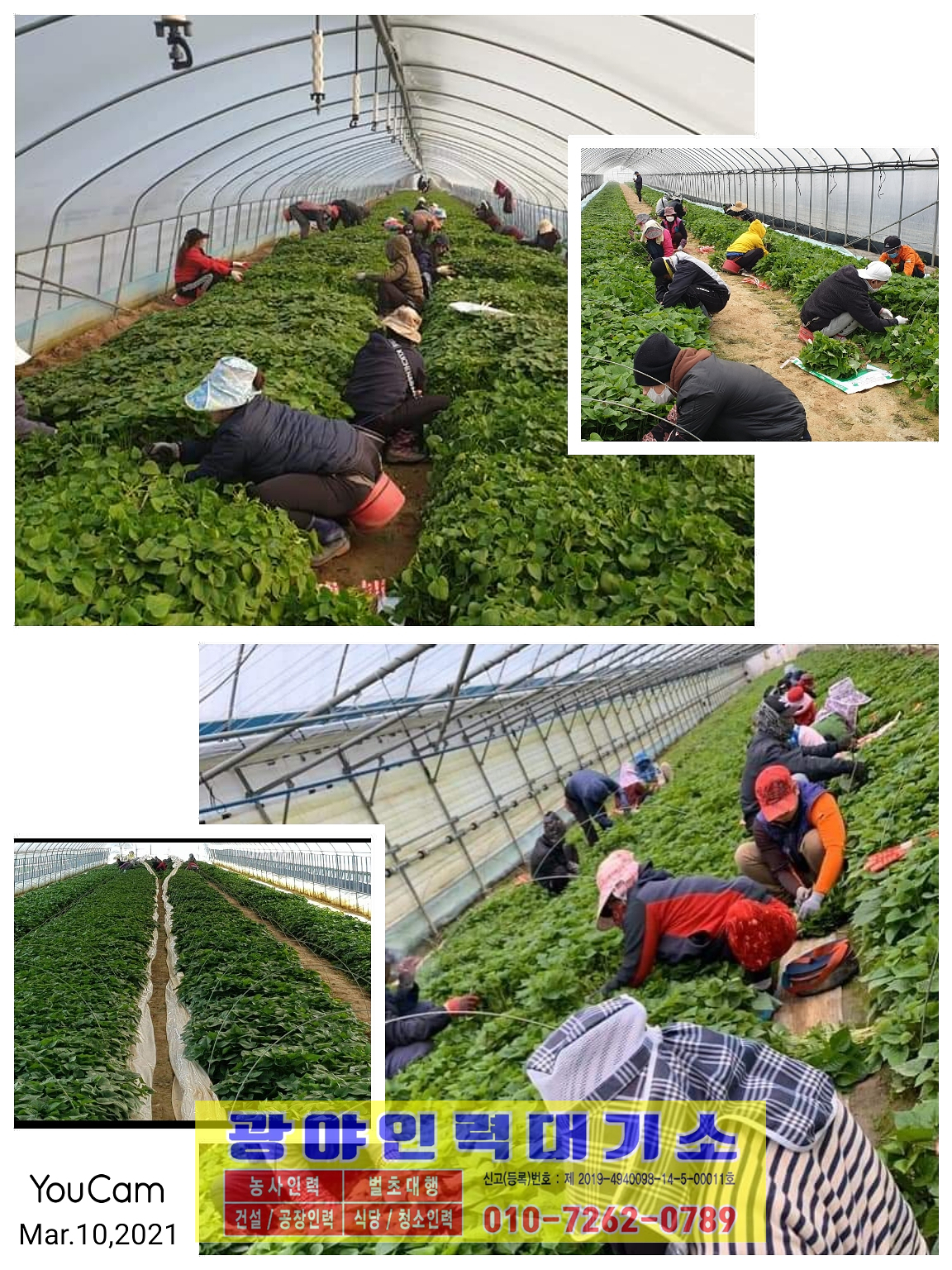 광야인력대기소