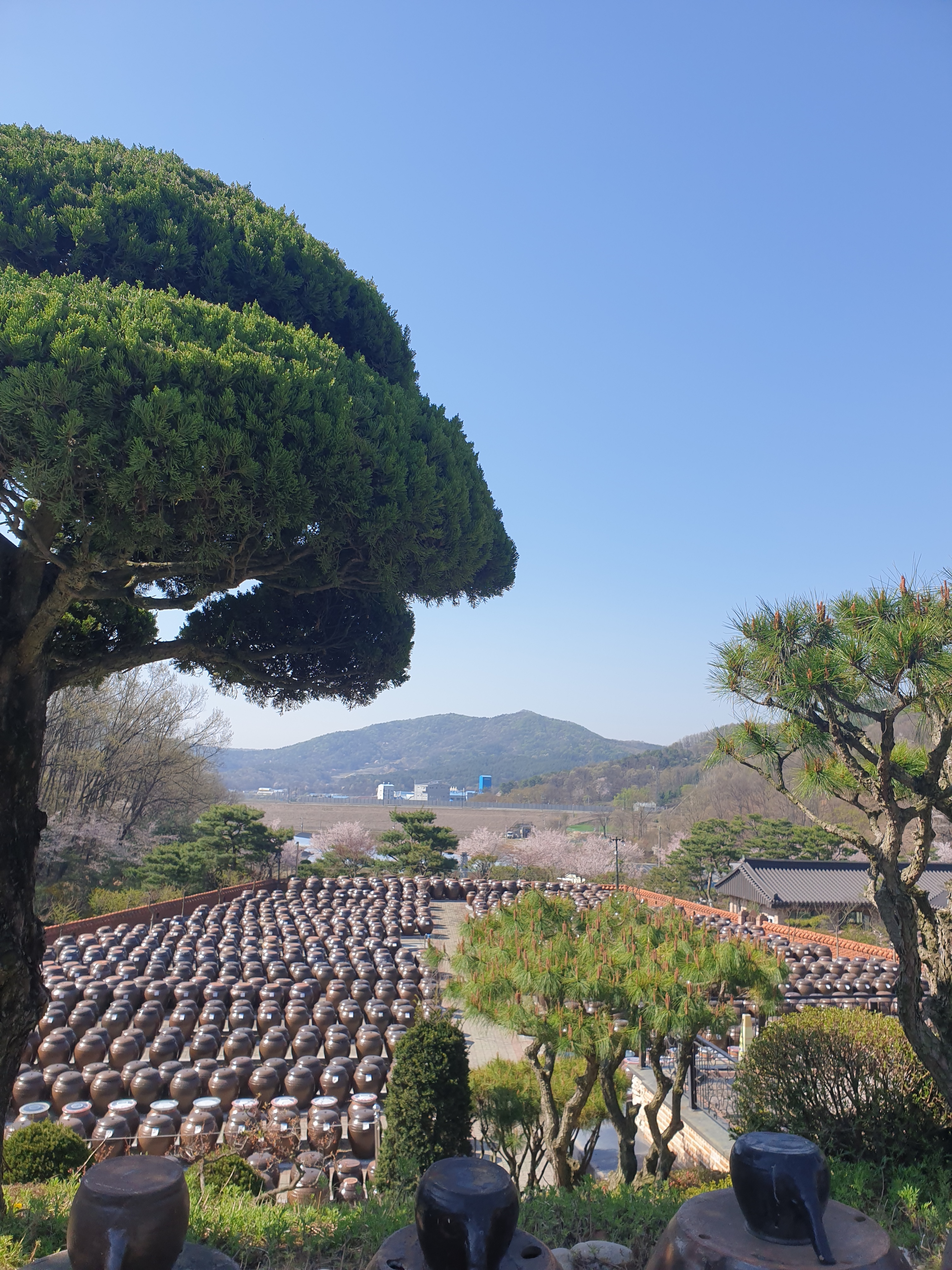 정성