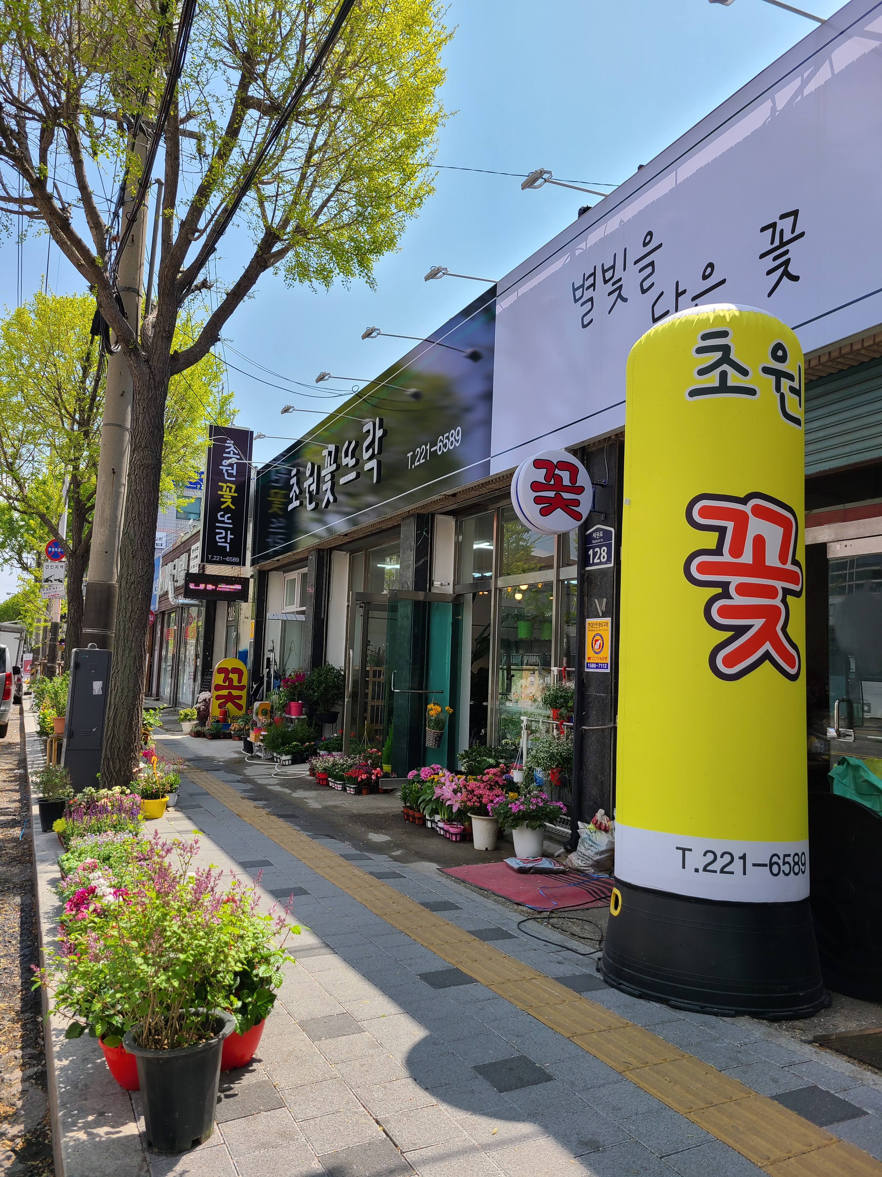 초원꽃뜨락